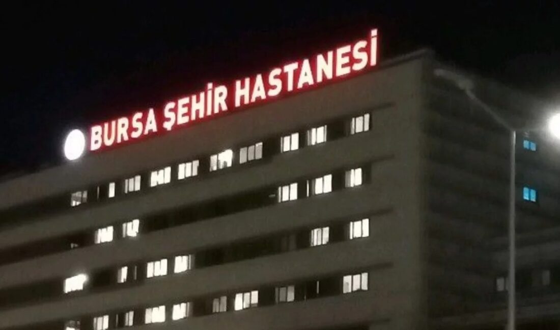 Bursa'nın Yenişehir ilçesinde, yağmur nedeniyle çalışmayı bırakıp tarladan ayrılmaya hazırlanan