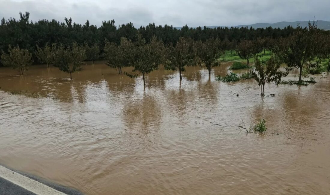 Bursa'nın İznik ilçesinde uzun süredir kuraklık nedeniyle kuru olan dere,