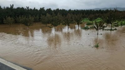 Bursa'nın İznik ilçesinde uzun süredir kuraklık nedeniyle kuru olan dere,