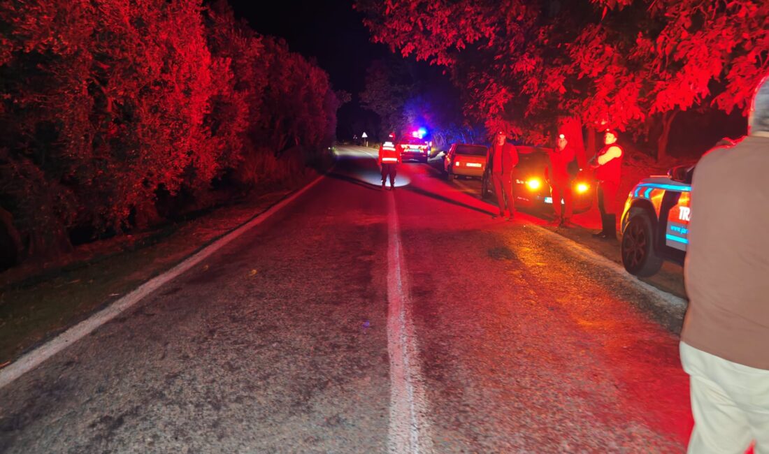 Bursa’nın Orhangazi ilçesinde seyir halindeki motosikletin yol kenarındaki mıcıra kapılarak