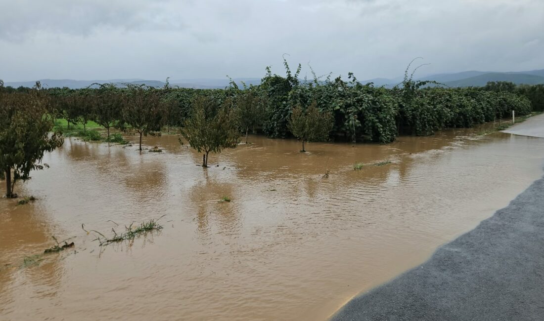 Bursa'da son günlerde etkili olan sağanak yağışların ardından taşan dereler