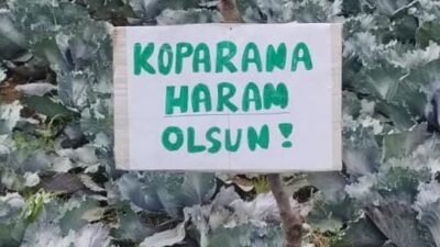 Bursa’nın Orhangazi ilçesinde, tarlasından daha önce birçok kez lahana çalınan