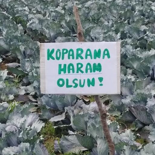 Bursa’nın Orhangazi ilçesinde, tarlasından daha önce birçok kez lahana çalınan