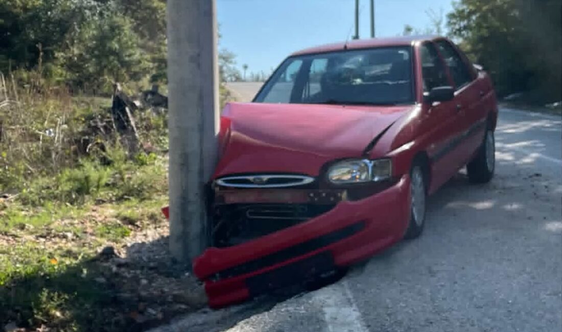 Bursa'nın Orhangazi ilçesinde meydana gelen kazada, kontrolden çıkan otomobil elektrik