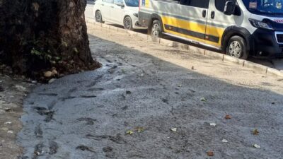 Bursa’nın Yenişehir ilçesinde Kumluk Camii çevresinde gerçekleştirilen zemin düzenlemesi sırasında