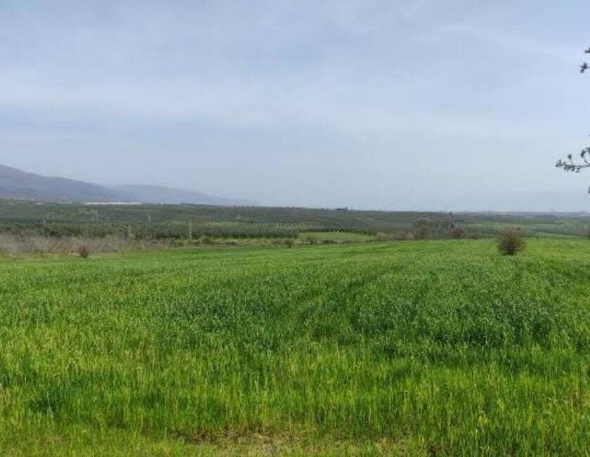 Bursa’nın Orhangazi ilçesinde yapılması planlanan yeni sanayi sitesinin bulunduğu alanla