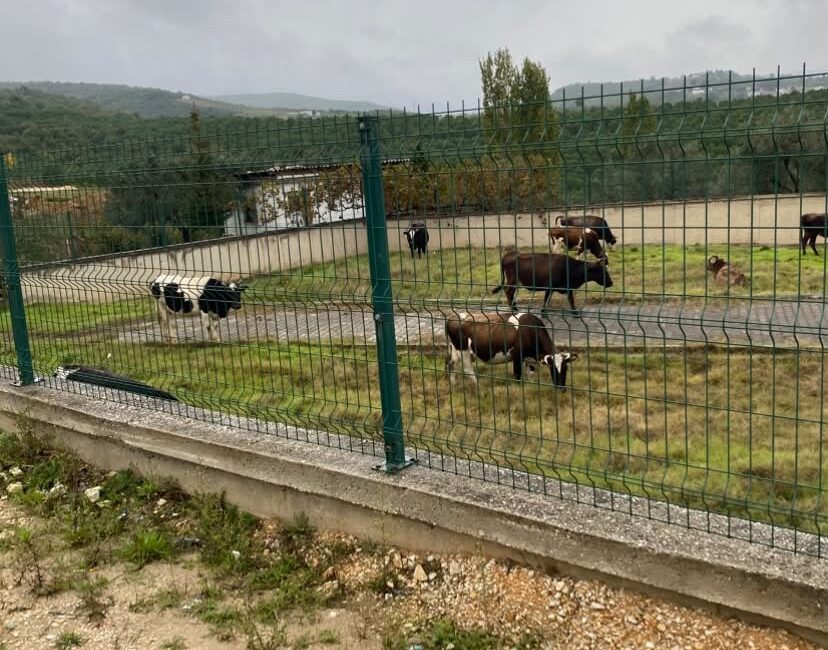 Orhangazi Yeni Mezarlığı’nda kaydedilen görüntüler vatandaşların tepkisine neden oldu.
